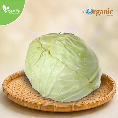 Organic Round Cabbage 1KG