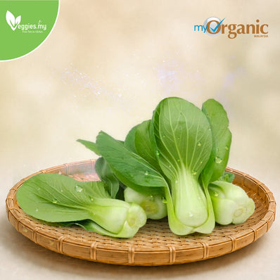 Organic Siew Pak Choy