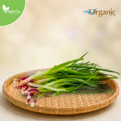 Organic Spring Onion 80G