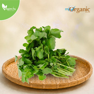 Organic Watercress 180G