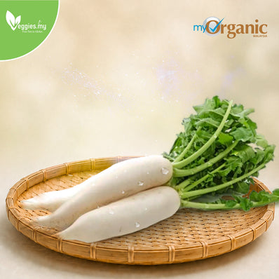 Organic White Radish (Daikon) 1KG