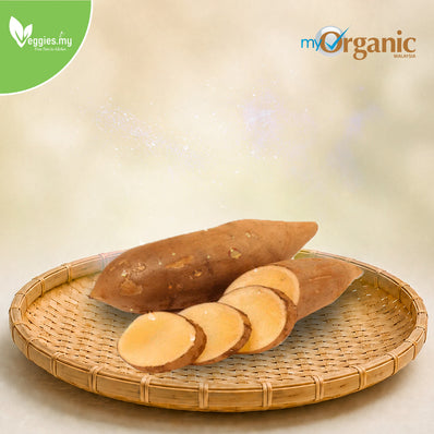 Organic Yacon 500G
