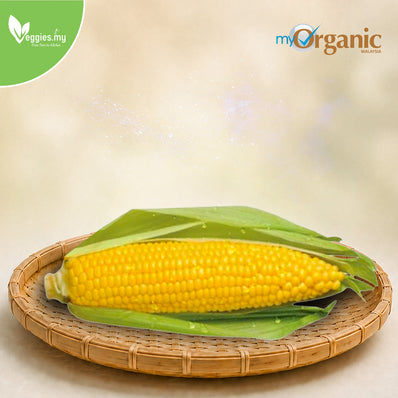 Organic Yellow Sweet Corn