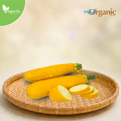 Organic Zucchini Yellow