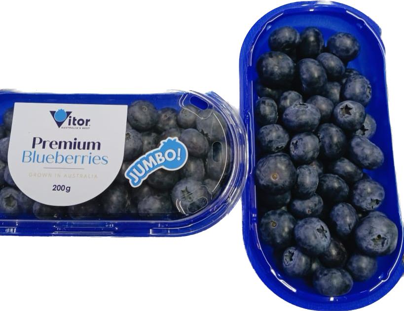 Blueberry Premium Rice Premium Blueberries (South Africa) – Veggies.my