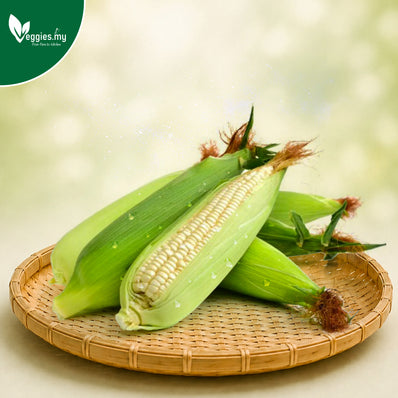 Premium Sweet White Corn 2PCS