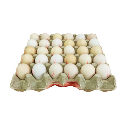 Organic Ma Cao Eggs (Size A)