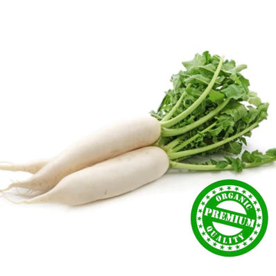 Organic White Radish (Daikon)
