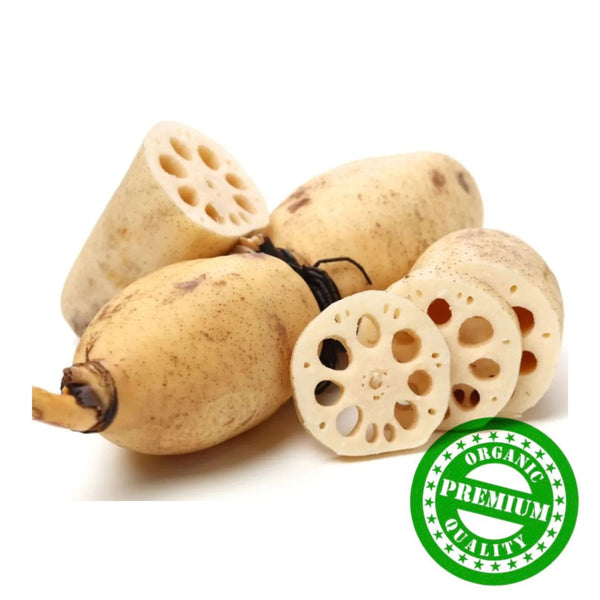 Organic Local Lotus Roots | Akar Teratai Tempatan Organik – Veggies.my