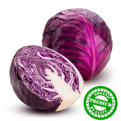 Organic Purple Cabbage