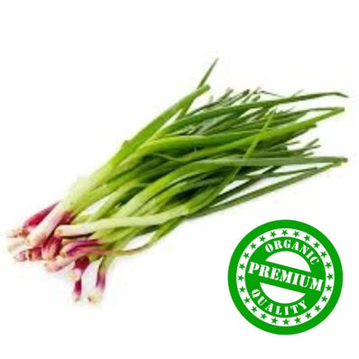 Organic Spring Onion
