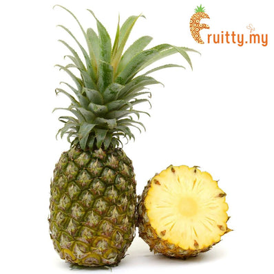 MD2 Pineapple (Taiwan Species)