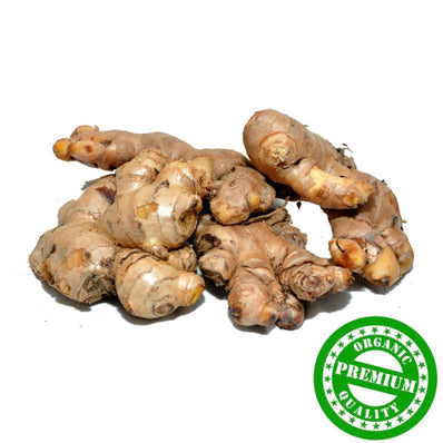 Organic Old Gingers (10-11 months)