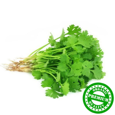 Organic Coriander (Insai)