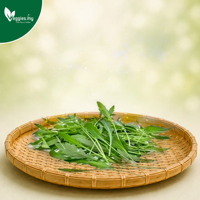 Wild Rocket (Arugula) 50G