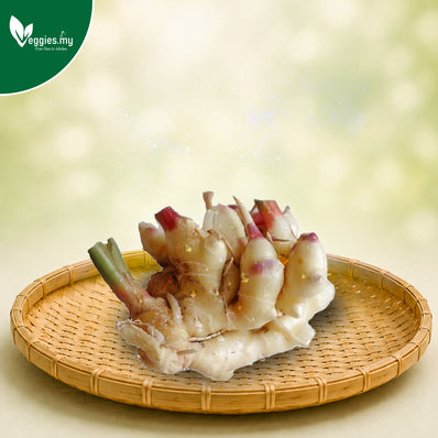 Young Ginger 500G