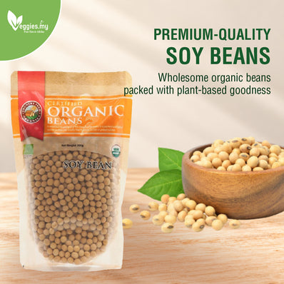 ORG Soy Bean 300G