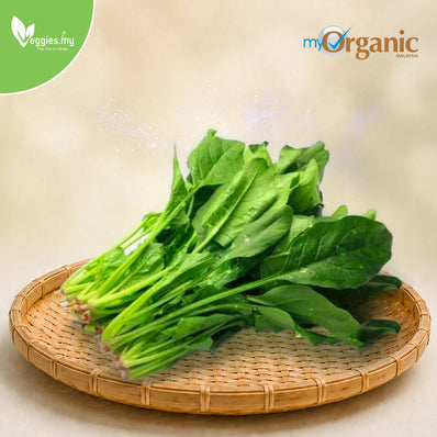 Organic Spinach (Poh Choy)