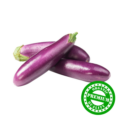Organic Eggplant (Brinjal)