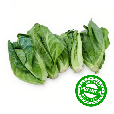 Organic Cabbage Shoot (Choy Tam)