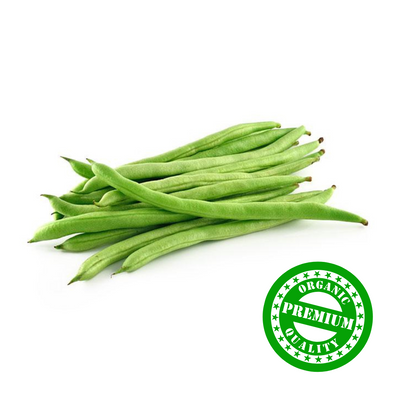 Organic French Bean