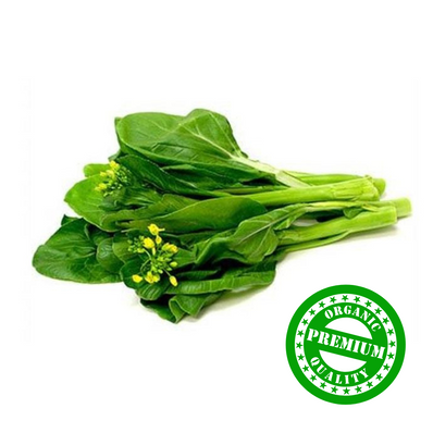 Organic Hong Kong Choy Sum