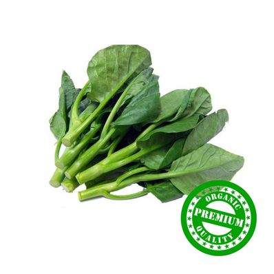 Organic Chinese Broccoli (Kai Lan)
