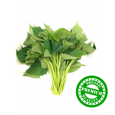 Organic Sweet Potato Leave