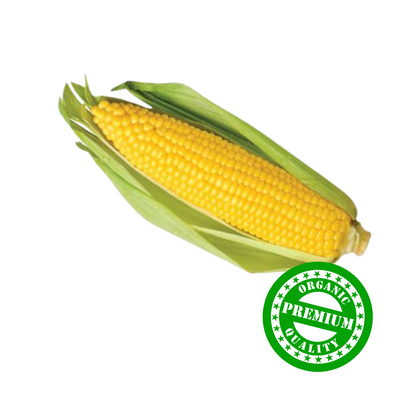 Organic Yellow Sweet Corn