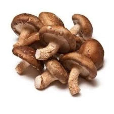 Shiitake Mushroom