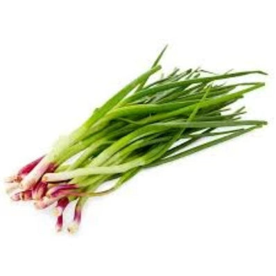Spring Onion