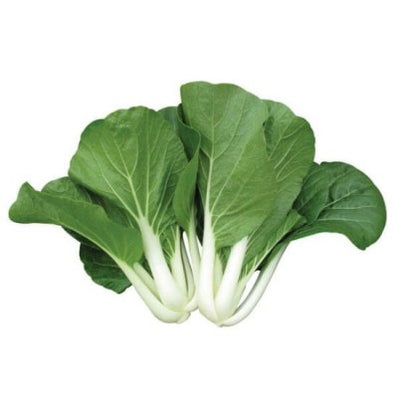 White Pak Choy