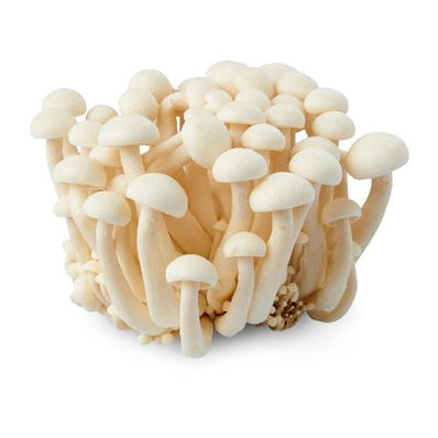 White Shimeji Mushroom