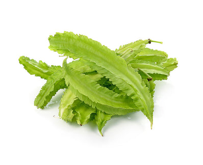 Winged Bean