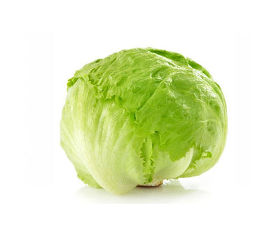 Iceberg Lettuce